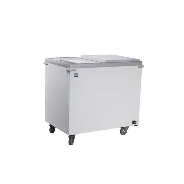 Congelatore 260 Litri 230v 175w Mobile B101 D63 H94 Cm