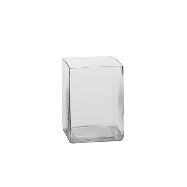 Vaso In Vetro Olymp 10 10 H11 Cm