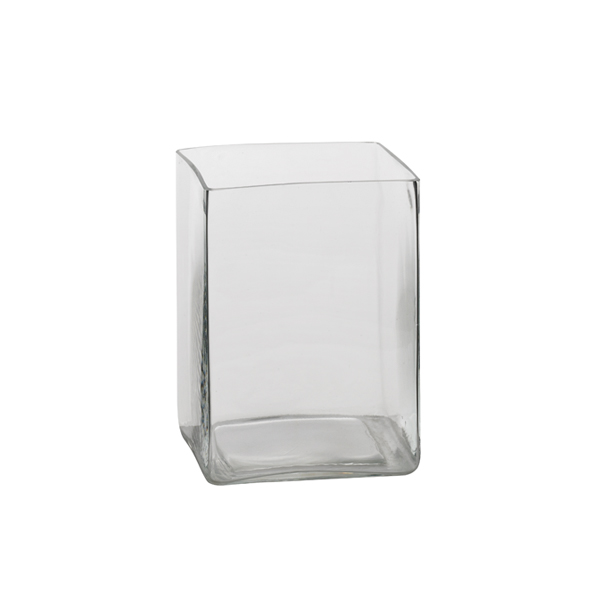 Vaso In Vetro Olymp 15 15 H20 Cm