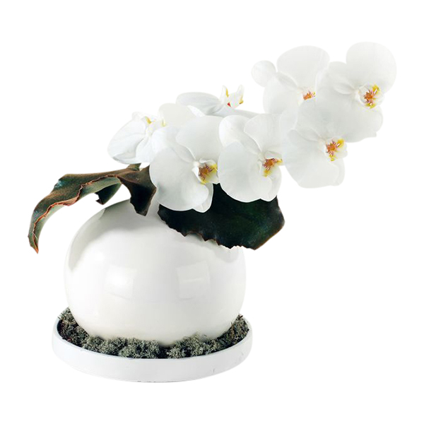 Set Decorazione Floreale 432